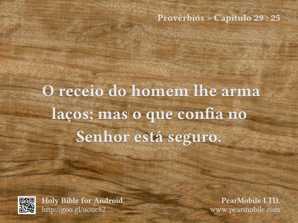 Provérbios, Capítulo 29:25